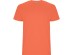 T-shirt dziecięcy z krótkim rękawem STAFFORD 