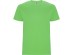 T-shirt dziecięcy z krótkim rękawem STAFFORD 