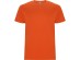 T-shirt dziecięcy z krótkim rękawem STAFFORD 