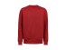 BLUZA CREWNECK REGULAR FIT (OCS-RCS)